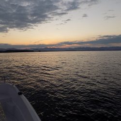 フィッシングボート空風（そらかぜ） 釣果