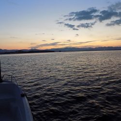 フィッシングボート空風(そらかぜ) 釣果