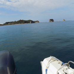 フィッシングボート空風(そらかぜ) 釣果