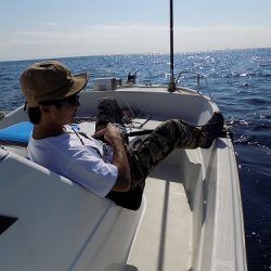 フィッシングボート空風(そらかぜ) 釣果