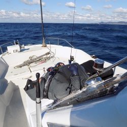 フィッシングボート空風(そらかぜ) 釣果