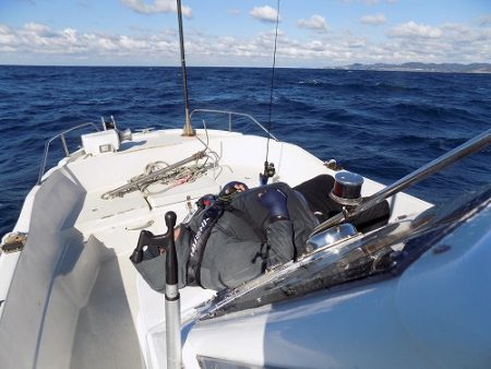 フィッシングボート空風(そらかぜ) 釣果
