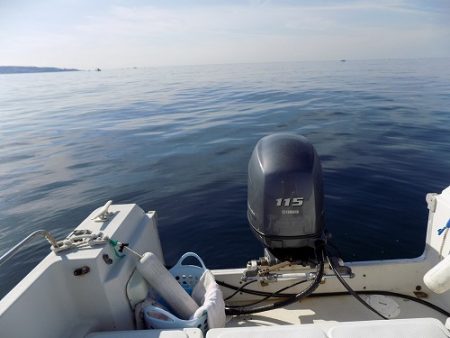 フィッシングボート空風(そらかぜ) 釣果