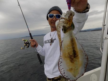 フィッシングボート空風(そらかぜ) 釣果