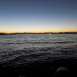 フィッシングボート空風(そらかぜ) 釣果