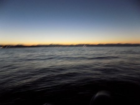 フィッシングボート空風(そらかぜ) 釣果