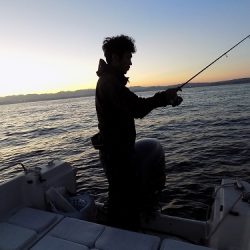 フィッシングボート空風(そらかぜ) 釣果