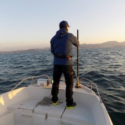 フィッシングボート空風(そらかぜ) 釣果
