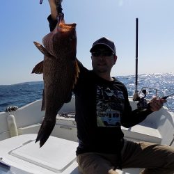 フィッシングボート空風（そらかぜ） 釣果