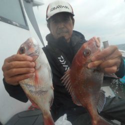 大進丸（愛知） 釣果