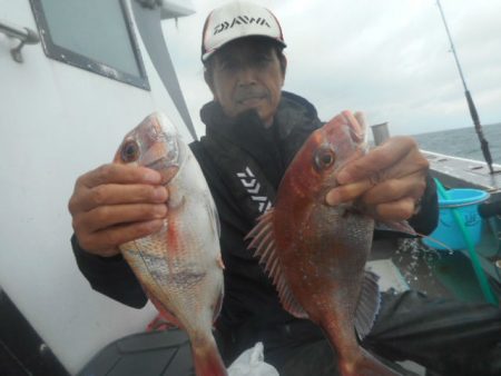 大進丸（愛知） 釣果