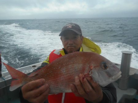 大進丸（愛知） 釣果