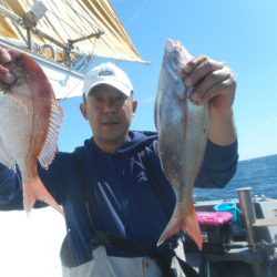 大進丸（愛知） 釣果