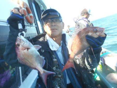 大進丸（愛知） 釣果