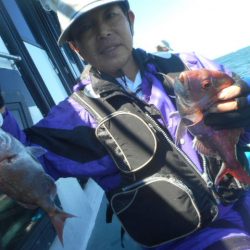 大進丸（愛知） 釣果