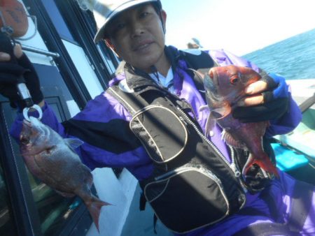 大進丸（愛知） 釣果