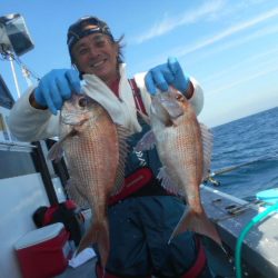 大進丸（愛知） 釣果