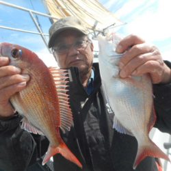 大進丸（愛知） 釣果