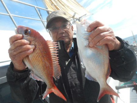 大進丸（愛知） 釣果