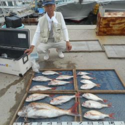 大進丸（愛知） 釣果