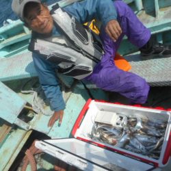 大進丸（愛知） 釣果