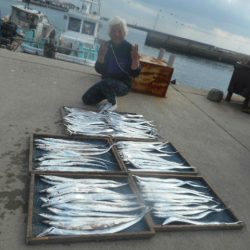 大進丸（愛知） 釣果