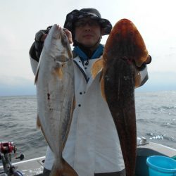 大進丸（愛知） 釣果