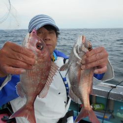 大進丸（愛知） 釣果