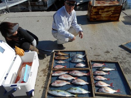 大進丸（愛知） 釣果