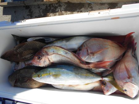 大進丸（愛知） 釣果