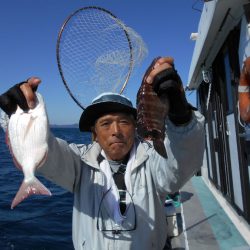 大進丸（愛知） 釣果