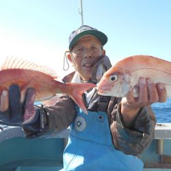 大進丸（愛知） 釣果