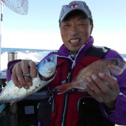 大進丸（愛知） 釣果
