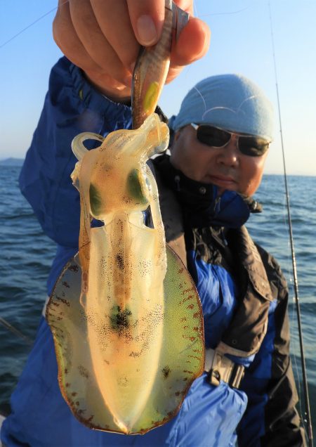 Fisherman Dreams DI 釣…