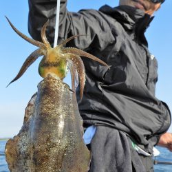 Fisherman Dreams DI 釣果