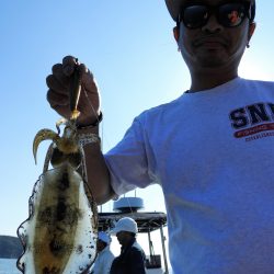 Fisherman Dreams DI 釣果