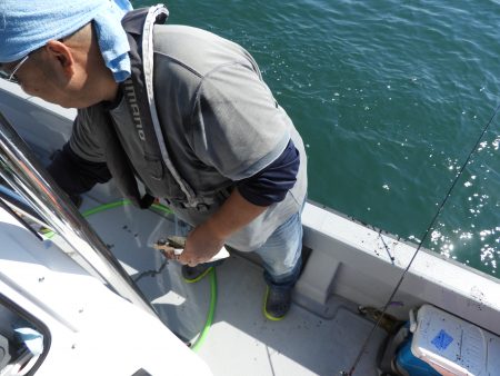 Fisherman Dreams DI 釣果