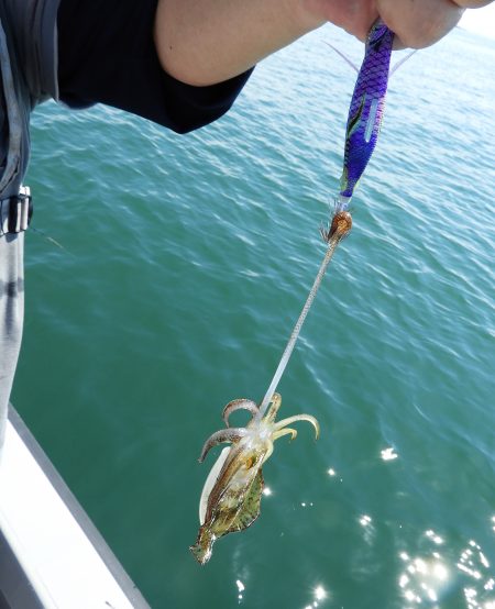 Fisherman Dreams DI 釣果