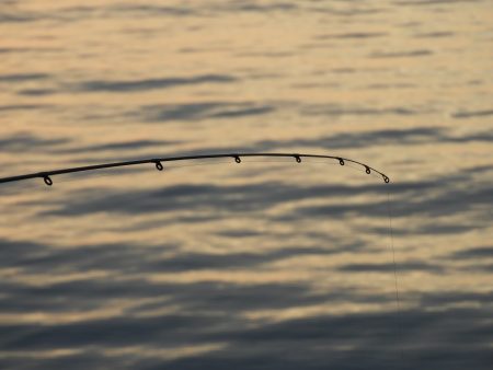 Fisherman Dreams DI 釣果