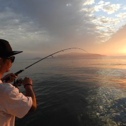 Fisherman Dreams DI 釣果