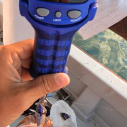 Fisherman Dreams DI 釣果