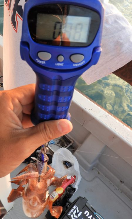 Fisherman Dreams DI 釣果