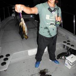 Fisherman Dreams DI 釣果