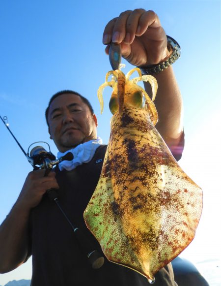 Fisherman Dreams DI 釣…