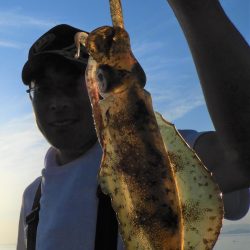 Fisherman Dreams DI 釣果