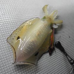 Fisherman Dreams DI 釣果