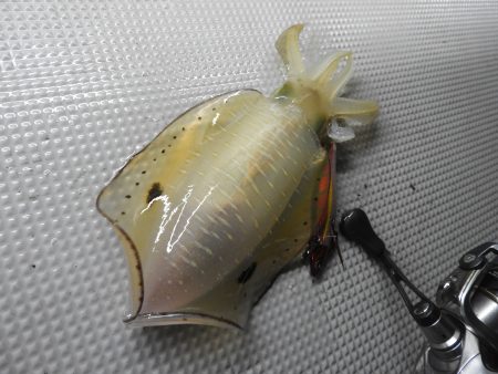 Fisherman Dreams DI 釣果