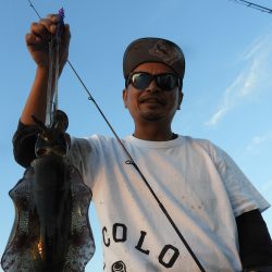 Fisherman Dreams DI 釣果