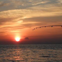 Fisherman Dreams DI 釣果