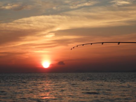 Fisherman Dreams DI 釣果